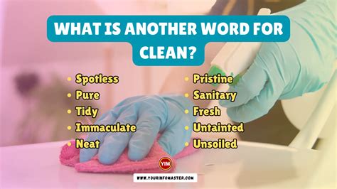 another word for cleaning person.